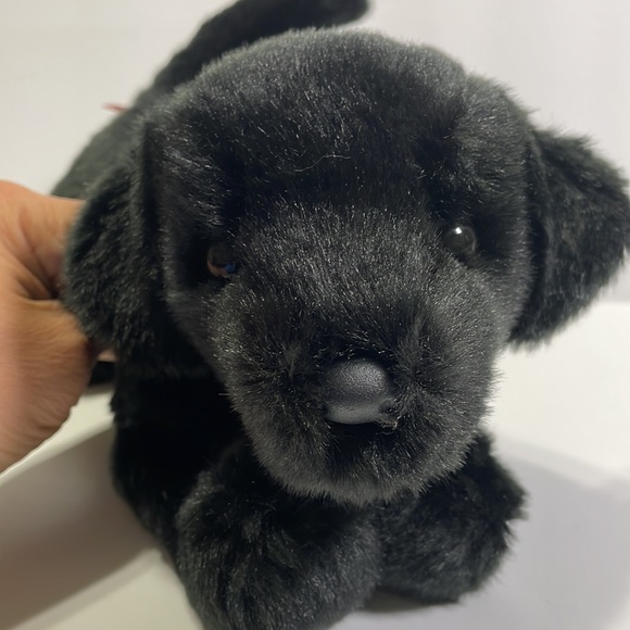 Douglas Brewster The Black Lab Dog - Picture 6 of 8